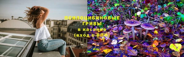 мяу мяу мука Абдулино