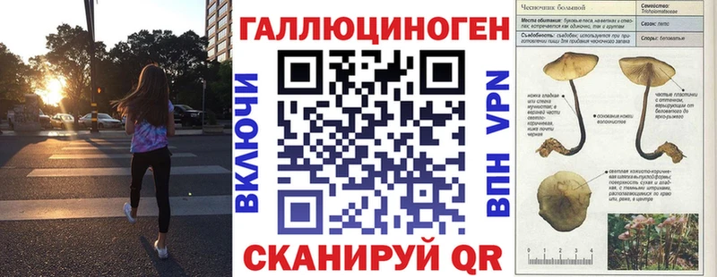 Псилоцибиновые грибы Psilocybe  mega зеркало  Янаул 