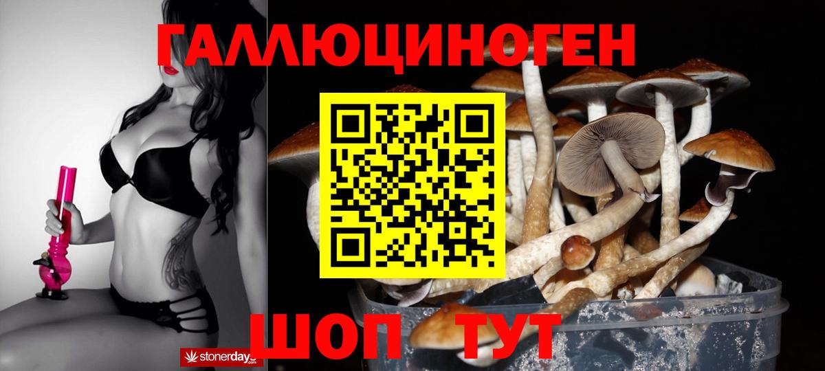 Псилоцибиновые грибы Psilocybe  Вход с VPN  Янаул  Псилоцибиновые грибы Cubensis 